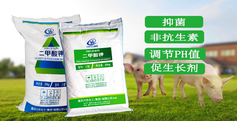 非抗生素飼料添加劑二甲酸鉀適合豬料無(wú)抗方案嗎？